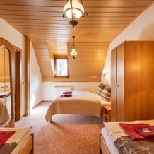 Hotel Karl, Zelezna Ruda — photo 4