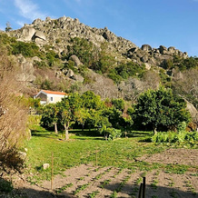Quinta De São Pedro De Vir-A-Corça Em Monsanto, Монсанто — фото 4