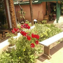 Royal Bear Lodge, Арройо-Секо — фото 5