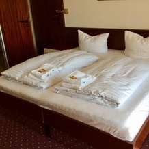Hotel Im Park, 巴特伊堡 — 照片 3