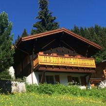 Le Petit Capricornus - 2 Bedroom Villa, Morgins — photo 4