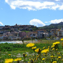 Agriturismo Il Maresciallo, 卡里亚蒂 — 照片 3
