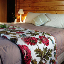 Fox Glacier Lodge, Фокс-Глейшер — фото 4