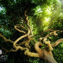 La Valle Del Cristallo Wellness & Charme, 奇斯泰尼诺 — 照片 4