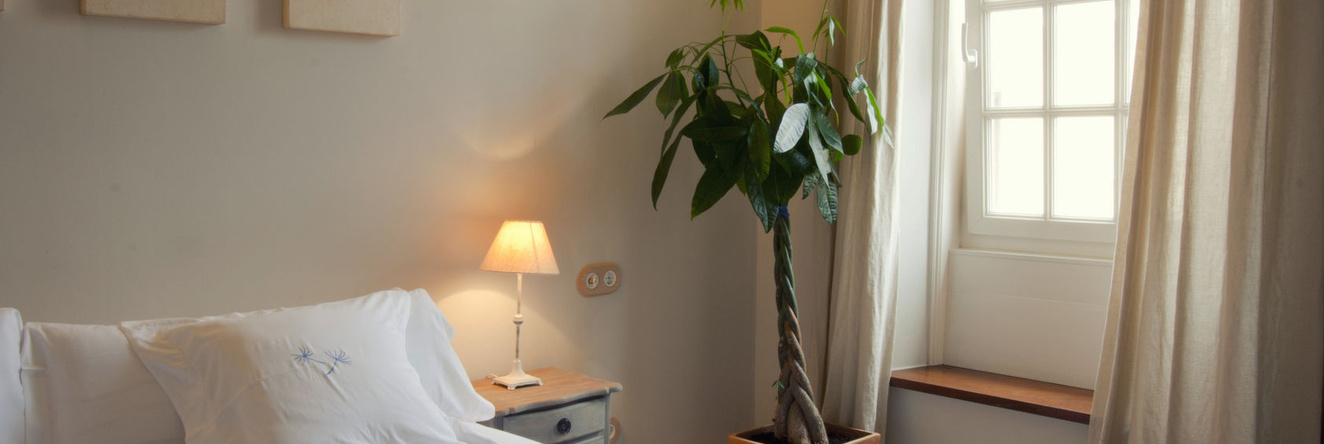 Jardí de ses Bruixes Boutique Hotel, 马奥 — 照片 1