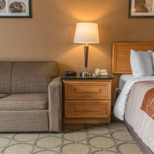 Comfort Inn Dryden, 德赖登 — 照片 5