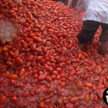 La Tomatina Festival, 普索尔 — 照片 4