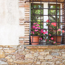 Sant Feliu Hotel, Sant Feliu de Boada — photo 3