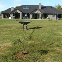 Ipipiri Lodge, Opua — photo 2