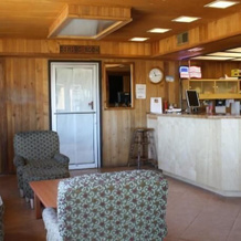 Cambridge Inn Motor Lodge, Колинга — фото 2
