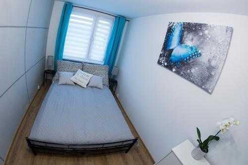 Blue Apartment Cieplice, Еленя-Гура — фото 1