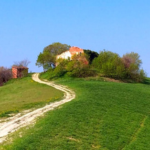 Fondo Riso, Faenza — photo 2