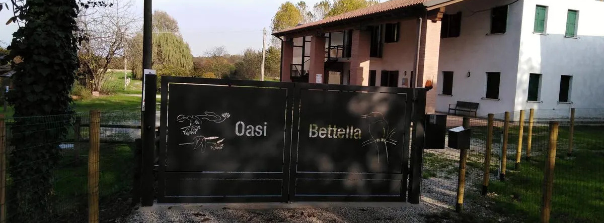agriturismo Oasi Bettella, Limena — photo 1