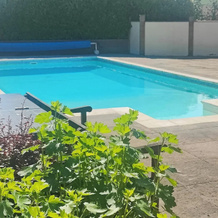 The Pool House, Кредитон — фото 2