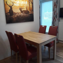 Ferienwohnung Ski-Hans, 普拉纳拉尔姆 — 照片 4