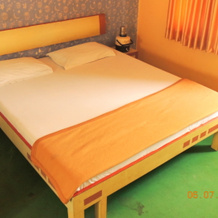 Green Park by Sky Stays Hotel, 安巴吉 — 照片 4
