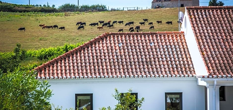 CAMBEIROS - Guest House, 阿伦克尔 — 照片 1