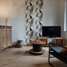 LOUHANS Les Petites Arcades avec ses deux appartements coté seille et coté jardin, 卢昂 — 照片 3