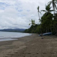 Las Brisas Tours y Cabinas, 德雷克湾 — 照片 2