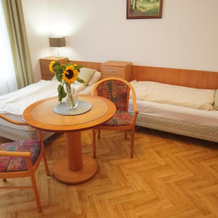 Vila Nejdek Erzgebirge, Нейдек — фото 5