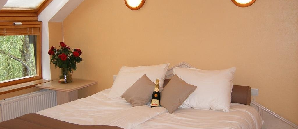Hotel Les 5 Ourthes, 乌法利兹 — 照片 1