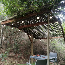 Thunzi Bush Lodge, Эйтенхахе — фото 4