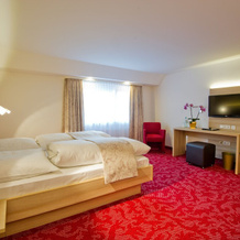 Hotel Gasthof Sternen, Gernsbach — photo 4
