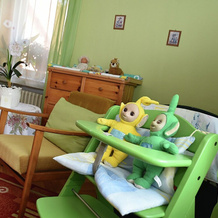 Flat for 10 People With a Large Conservatory at the Edge of the Forest in the Harz Region, Wildemann — photo 2