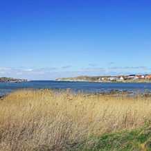 4 Star Holiday Home in Öckerö, 约克廖 — 照片 5