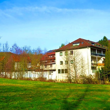 Hotel Wiesengrund, Линденфельс — фото 4