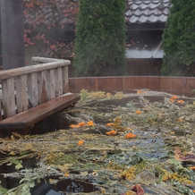 S Baney I Kupelyami Private house, 阿捷普采沃 — 照片 4