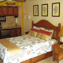 Islander On The Beach Unit 244, Вайлуа — фото 5