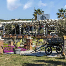 Alacati Beach Resort, 切什梅 — 照片 5