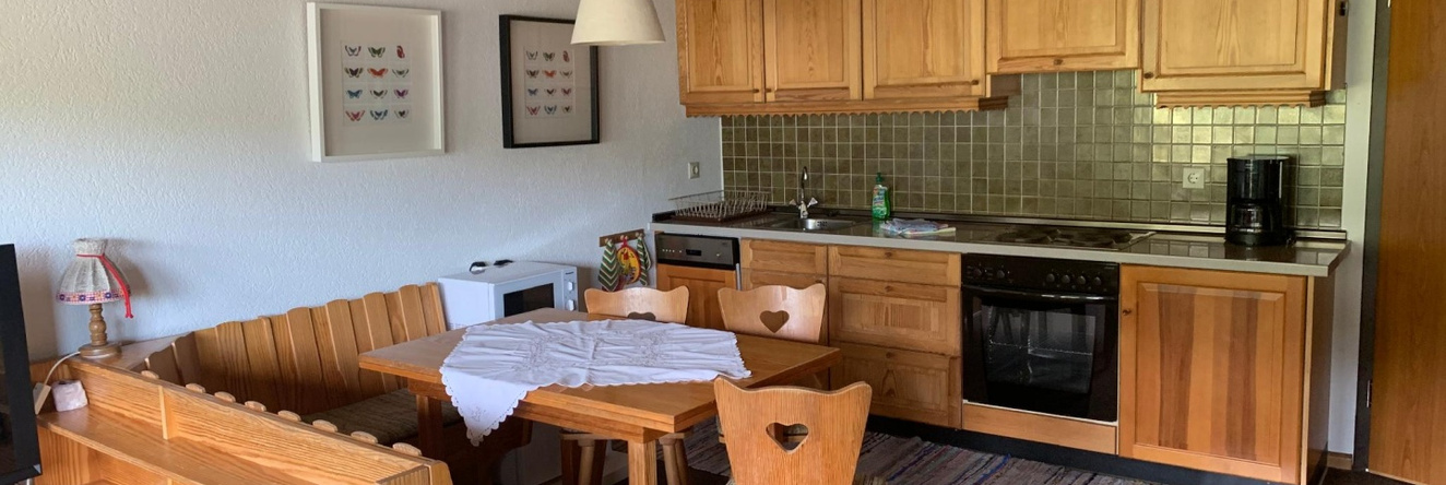 Haus am Sonnenberg Todtnauberg, Fewo 305, 托特瑙 — 照片 1
