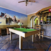 Blue Roan Country Lodge, Махалисберг — фото 2