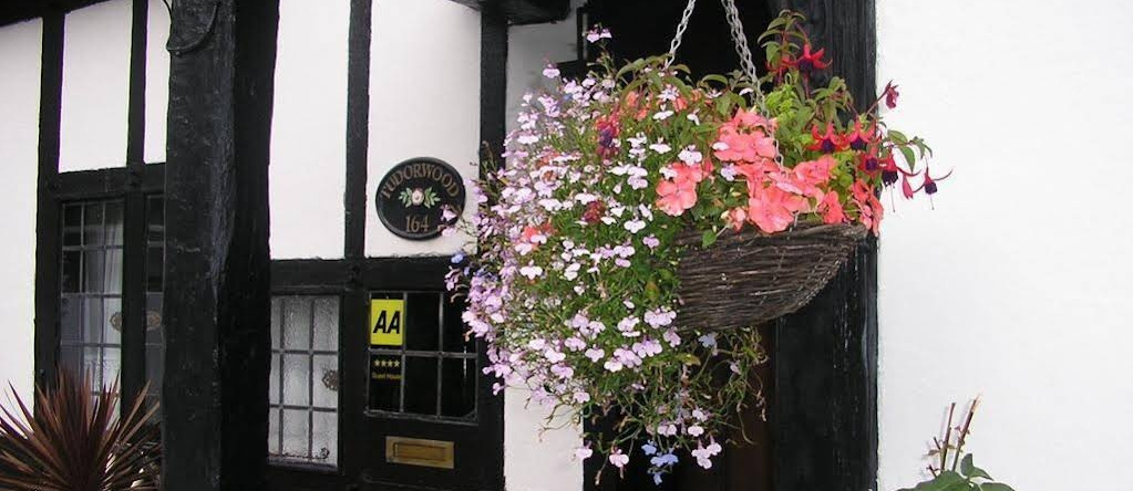 Tudorwood Guest House, Фарнборо — фото 1