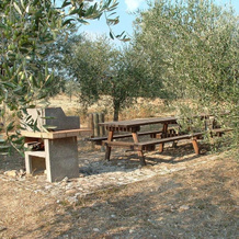 Agriturismo Castrum Normanno, 贾诺-德尔翁布里亚 — 照片 3