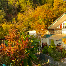 Nika Living quarters, 索契 — 照片 4