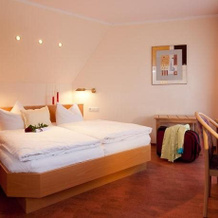 Landhotel Gruber, Waldmuenchen — photo 4