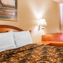 Red Lion Inn & Suites Caseyville, Caseyville — photo 3