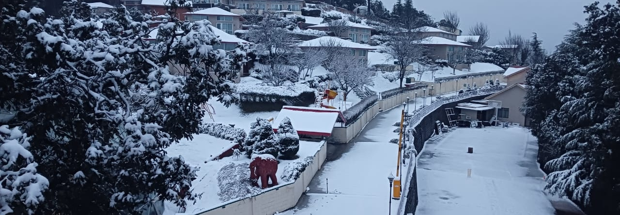 Mint Tarika Resort, Chail — photo 1