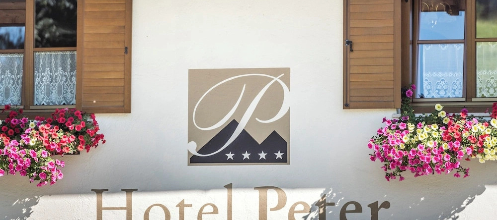 Hotel Peter, 新波滕特 — 照片 1