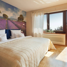 Burgunderhof Hotel - Adults Only, Hagnau — photo 3