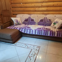 Dikij Lis Guest House, 涅罗希诺 — 照片 5