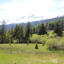 Appartement Lanslebourg-Mont-Cenis, 2 pièces, 4 personnes - FR-1-508-149, Val-Cenis — photo 5