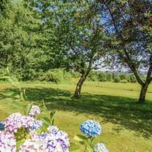 Welcoming cottage in Savignac-Lédrier with garden, 萨维尼亚克莱德里耶 — 照片 5
