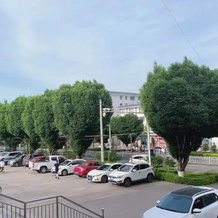 Xinrui Business Hotel, Jimsar — photo 2