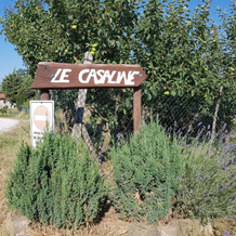 Agriturismo Le Casaline, 佩希纳 — 照片 5