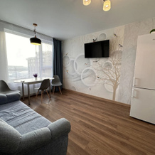 Set Kvartir Raydas Flat, Ryazan — photo 3