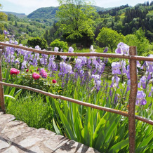 Domaine de la Jordanne - B&B, 圣西尔格德若尔当 — 照片 4